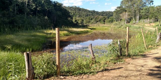 Fazenda - Foto 3