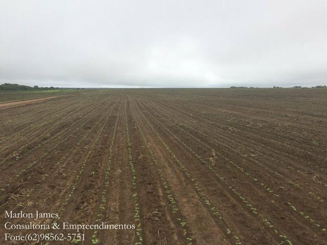 Fazenda em Mundo Novo! - Foto 6
