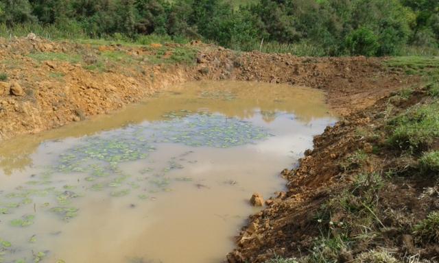Fazenda - Foto 8