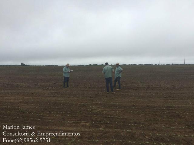 Fazenda em Mundo Novo! - Foto 11
