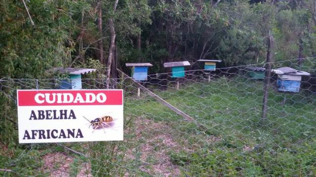 Sitio para locação em Mogi das Cruzes - Foto 19