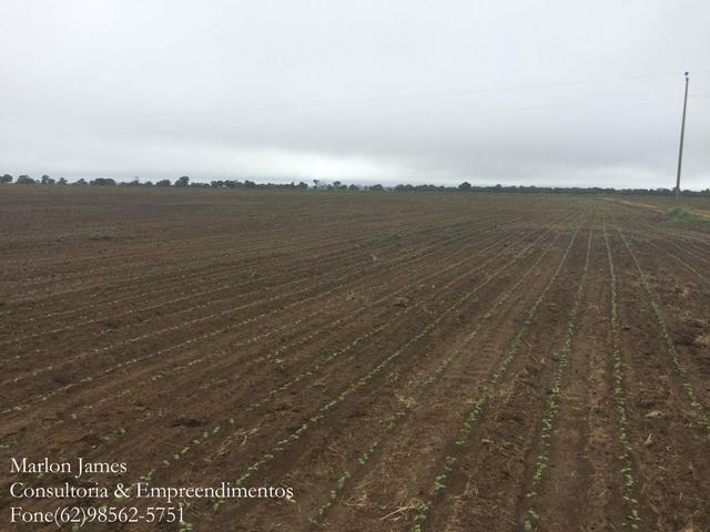 Fazenda em Mundo Novo! - Foto 9