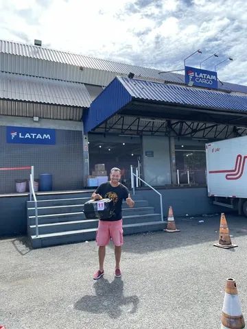 Coelhos mini ou Anão - Foto 6