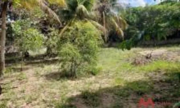 Vendo, troco ou alugo 