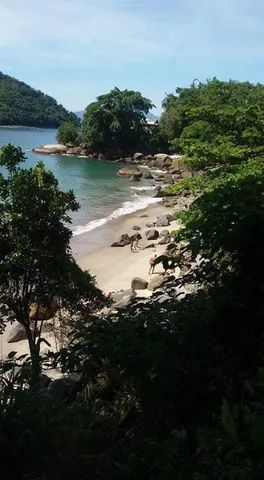 Alugo casa de Frente para o Mar c/ Píer e Dek, Caiaques e Tapete Flutuante. - Foto 14