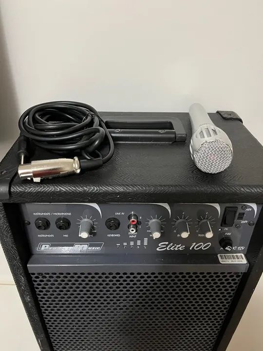 Guitar and Acoustic Guitar Amplifier Speaker Cabinet (with Microphone)
