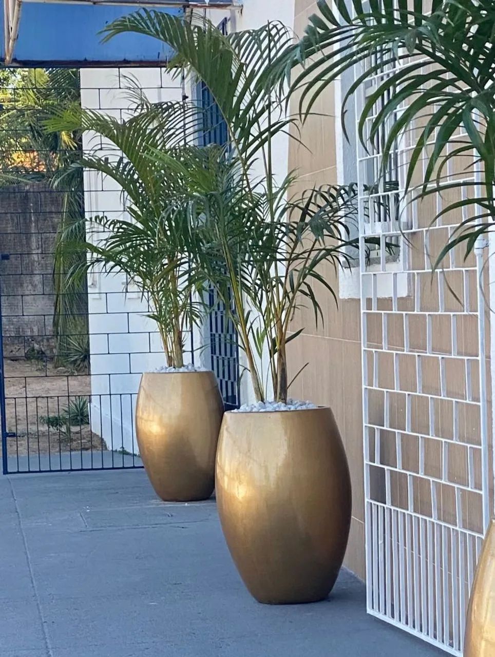 Jarro com planta - Foto 5
