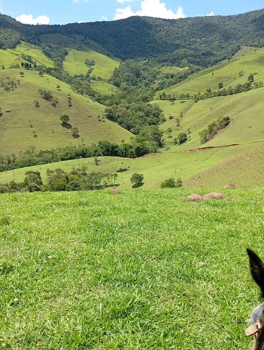 20 alqueires em Cunha divisa com Silveiras