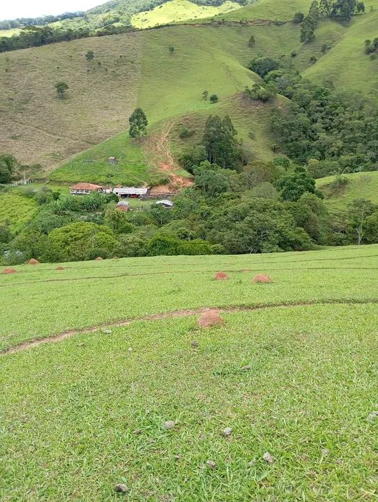 20 alqueires em Cunha divisa com Silveiras - Foto 2