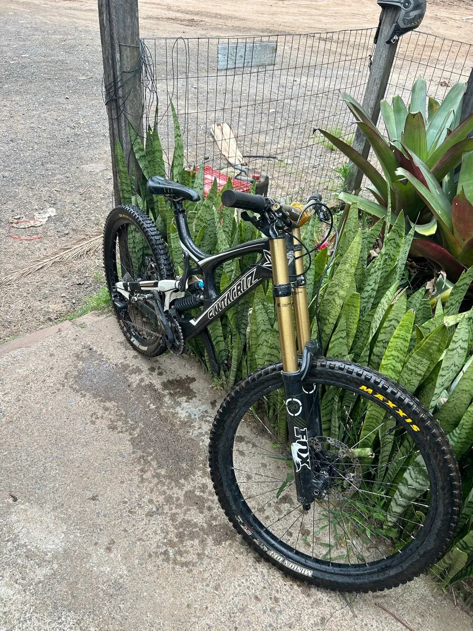 santa cruz v10