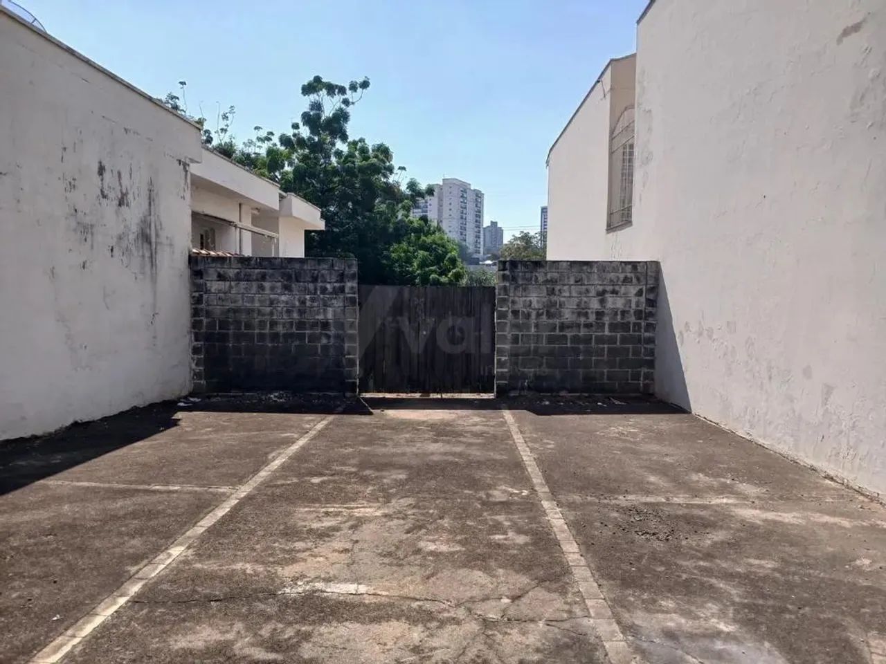 Terreno à venda em Campinas, Cambuí, com 353.3 m² - Foto 4