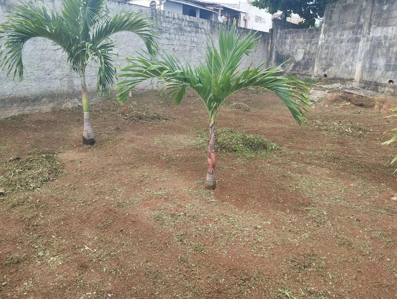 Roçagem paisagismo