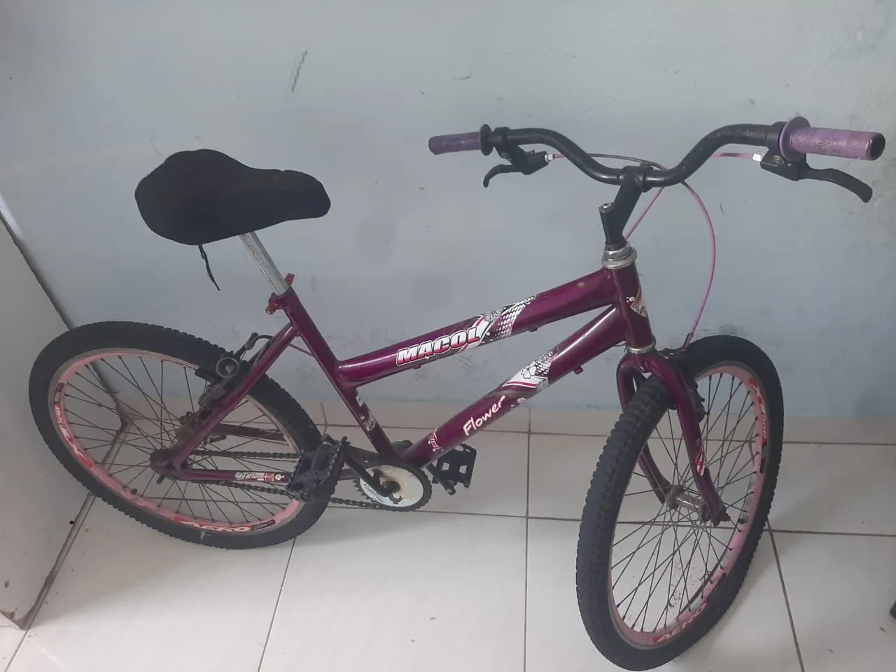 Bicicleta Aro 20 - Roxa
