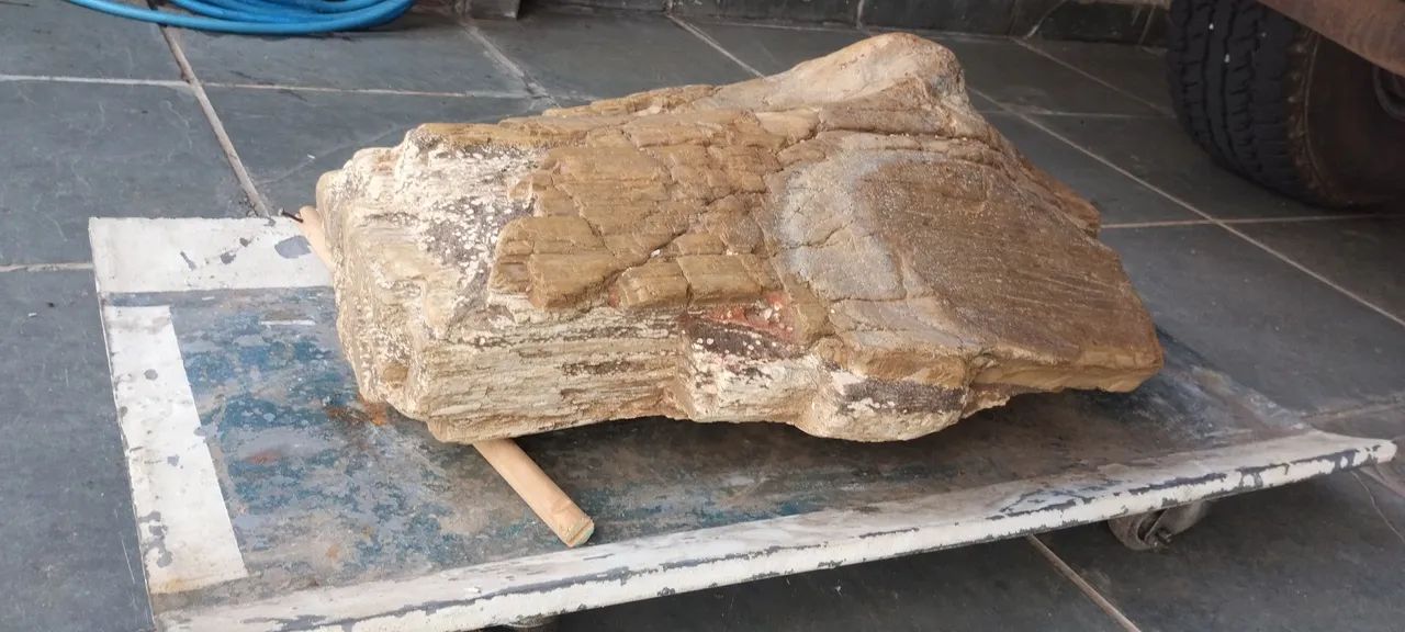Tronco madeira petrificado antigo VENDO - Foto 2