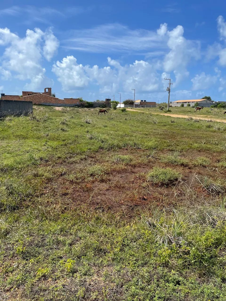 Foto - Aracaju - Luzia