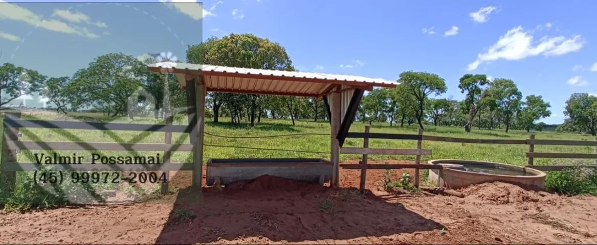 Fazenda em Amambai-Ms - Foto 5