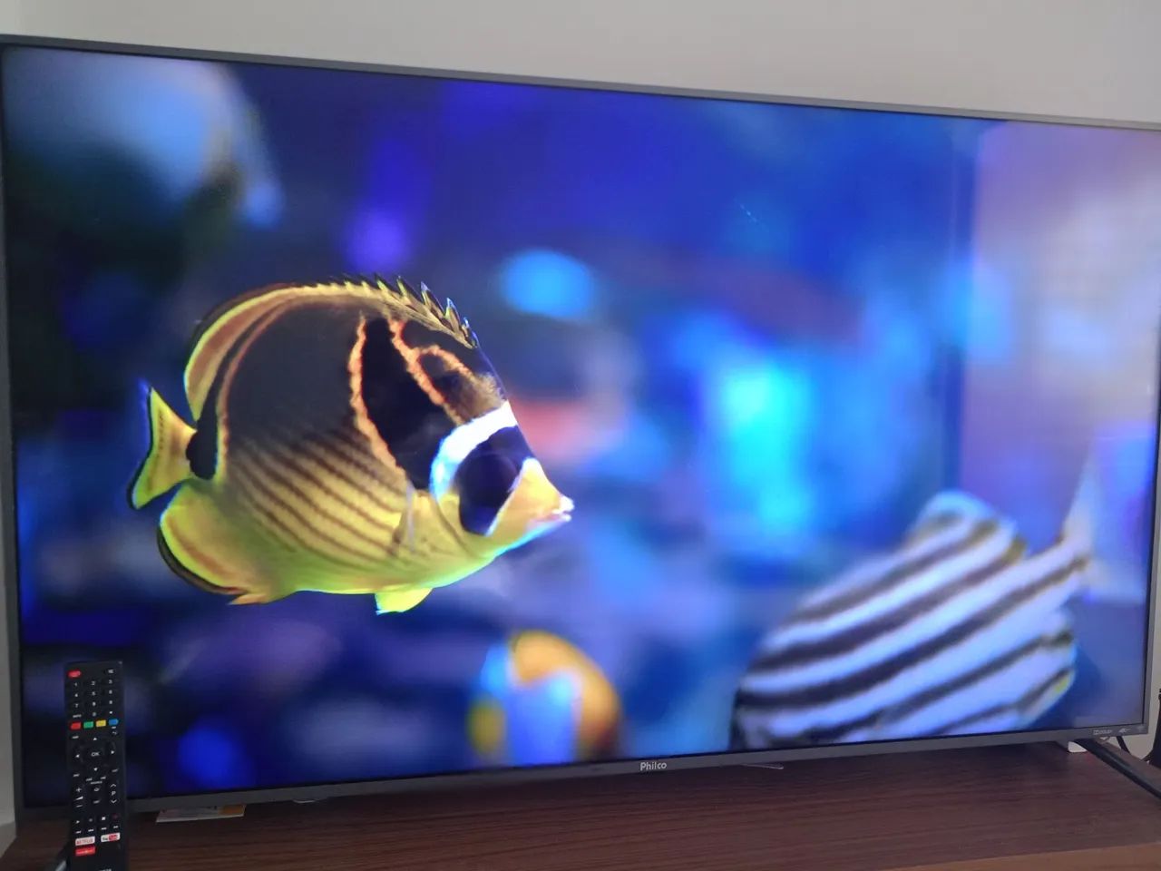 TV Philco 55 polegadas+ hack grátis  R$1.250,00 - Foto 4