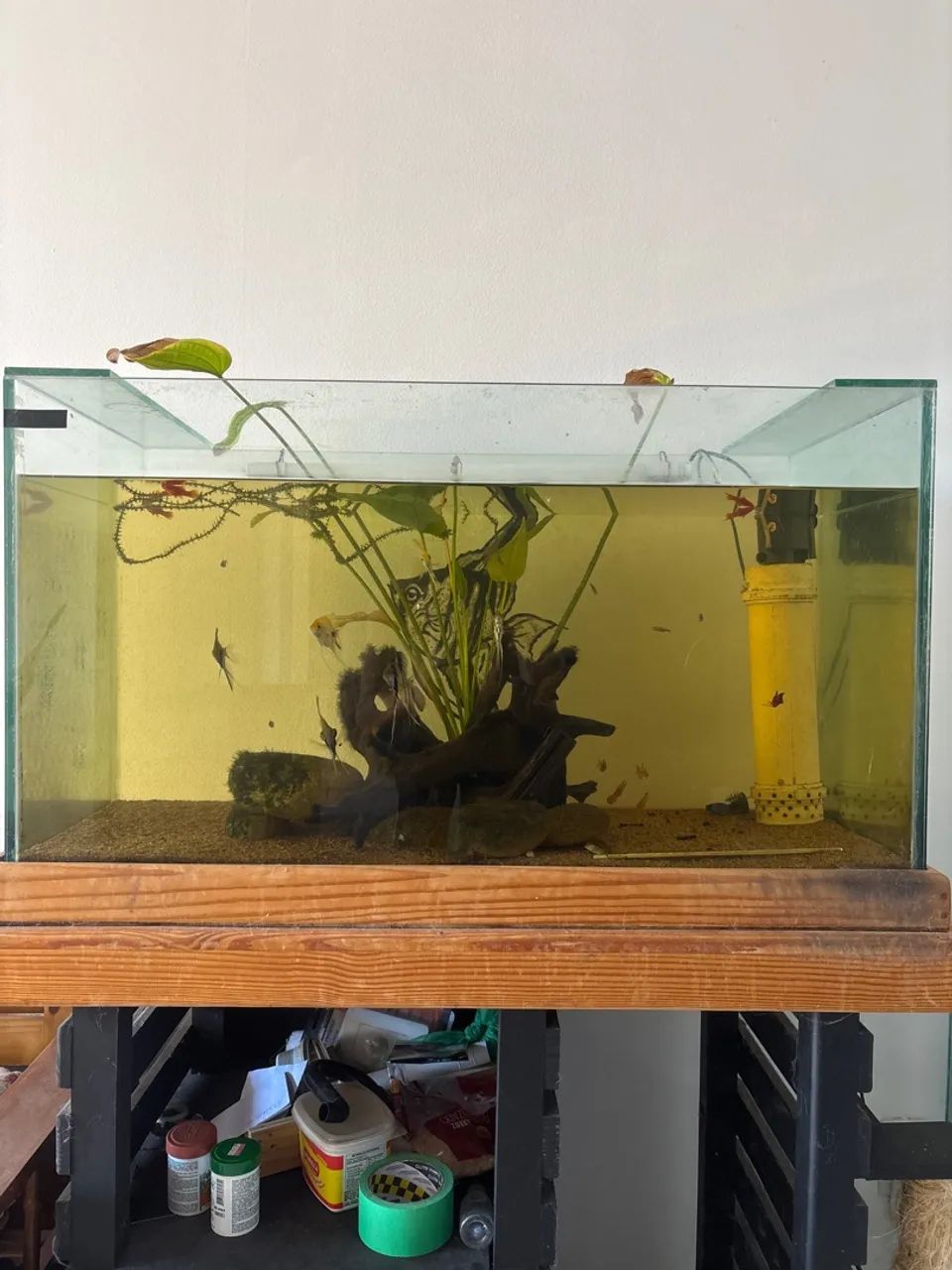 Aquário completo 