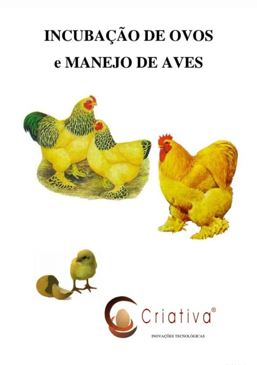 chocadeiras criativa - Foto 3