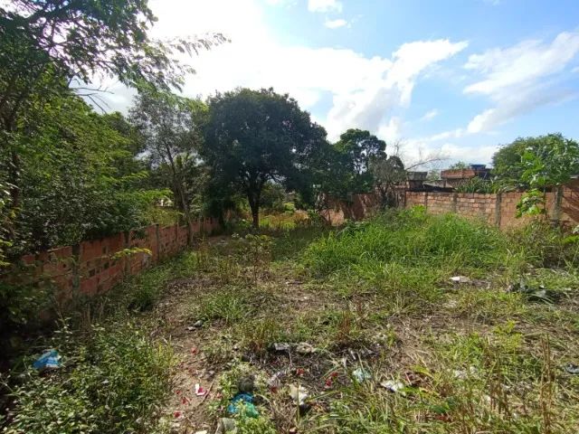 Foto - Itaboraí - Marambaia (Manilha)