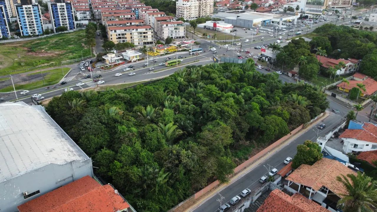 Lote  com 9.900 m²,  próximo da Praia Litoranea, Parque Atlântico - São Luís . - Foto 2