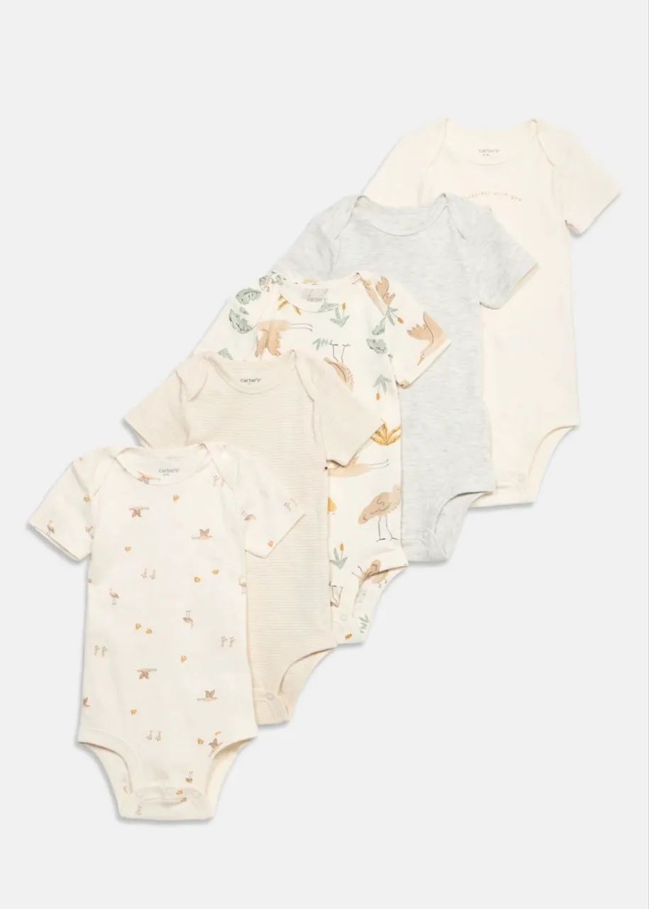 Kit body carters