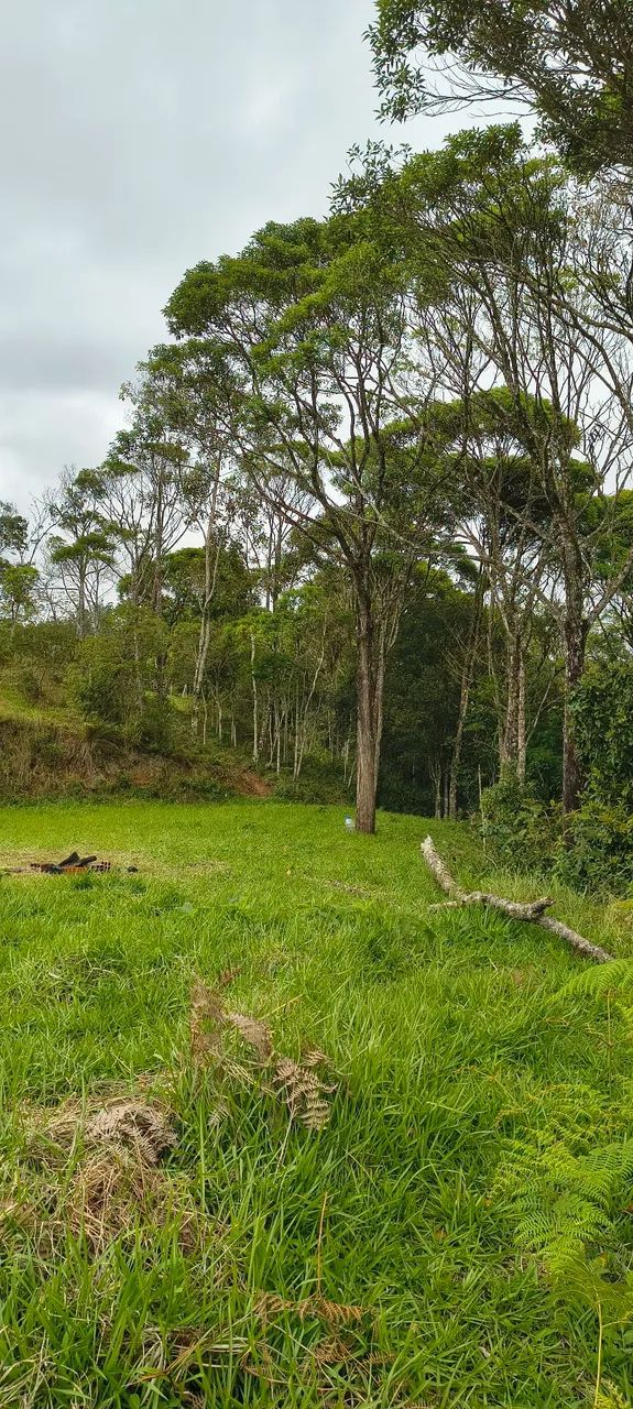 1 ha com córrego+chão de casa, Imaruí,sc - Foto 3