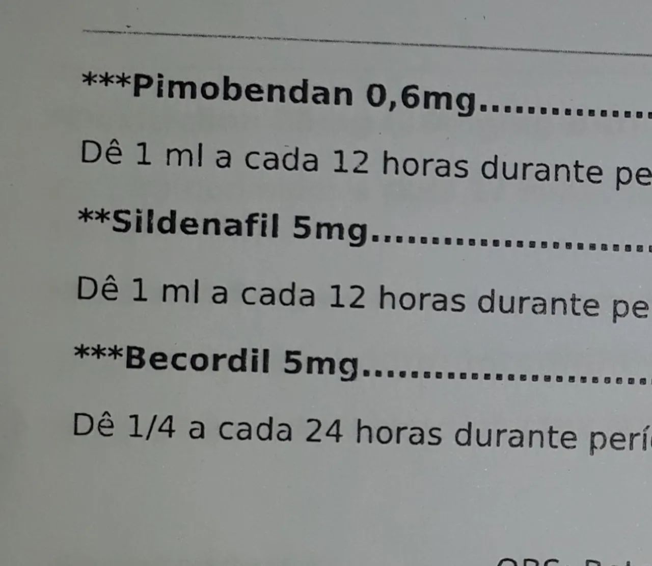 Para cães doa-se. - Foto 2