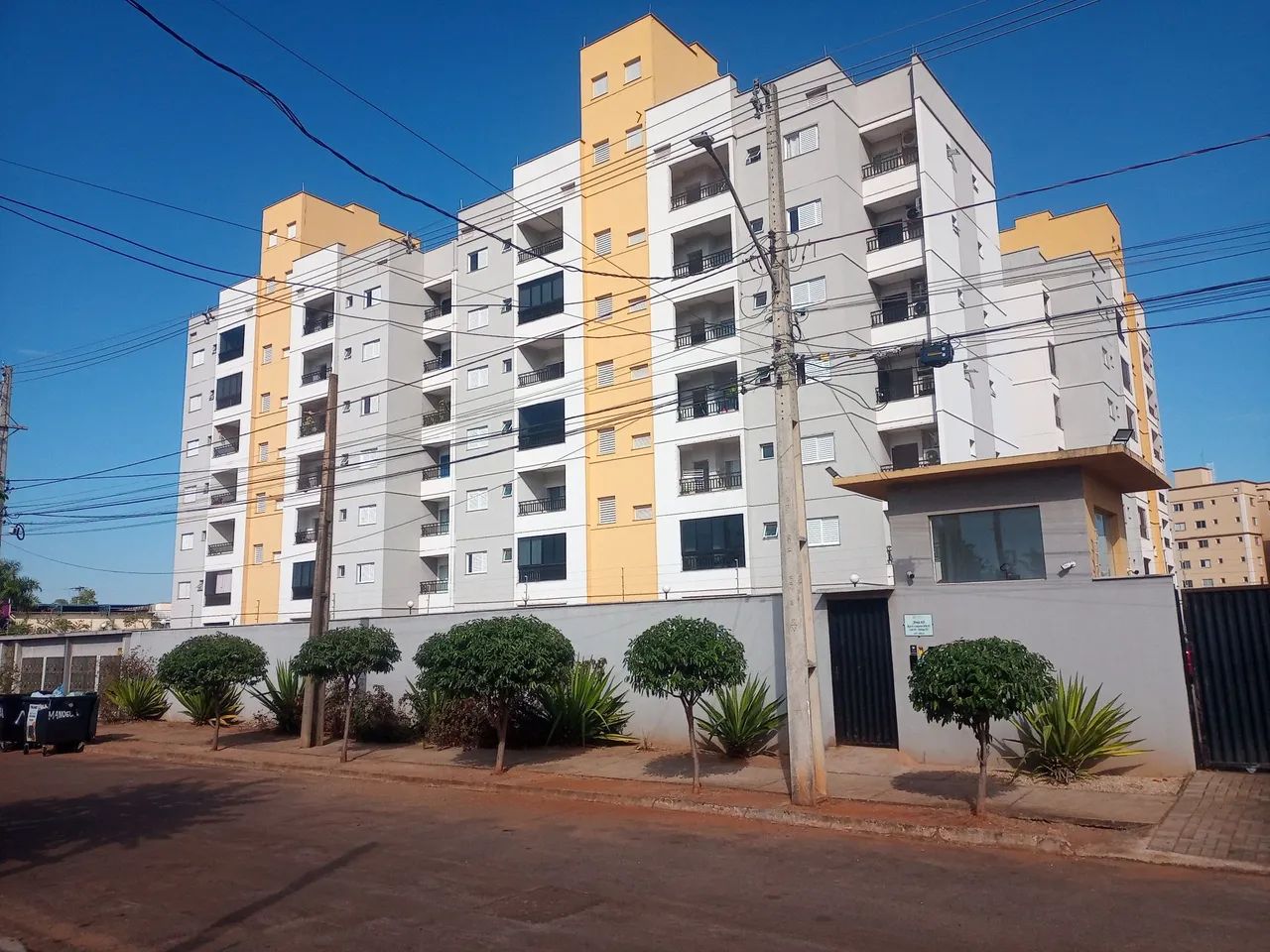 Corte e poda de árvore  - Foto 4