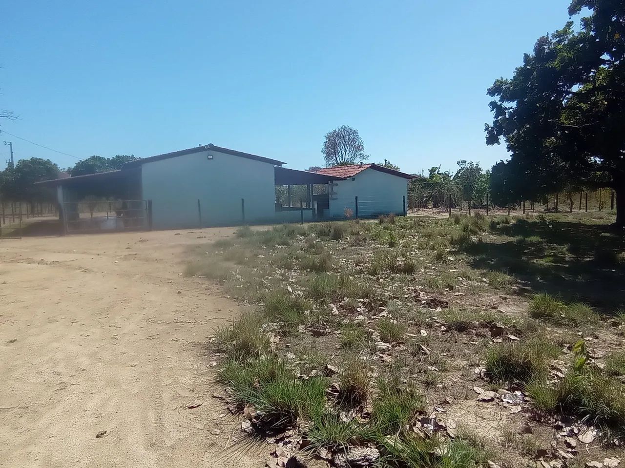 fazenda 15 alqueires