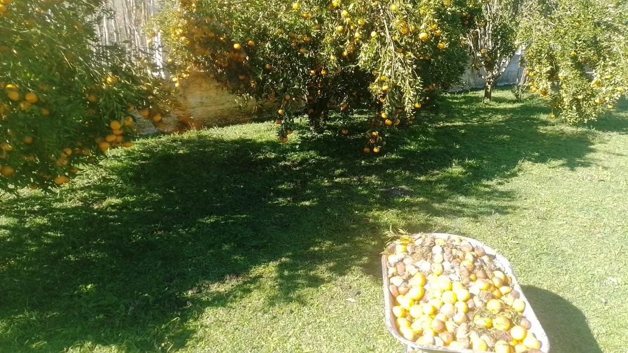 Vendo troco por casa  - Foto 2