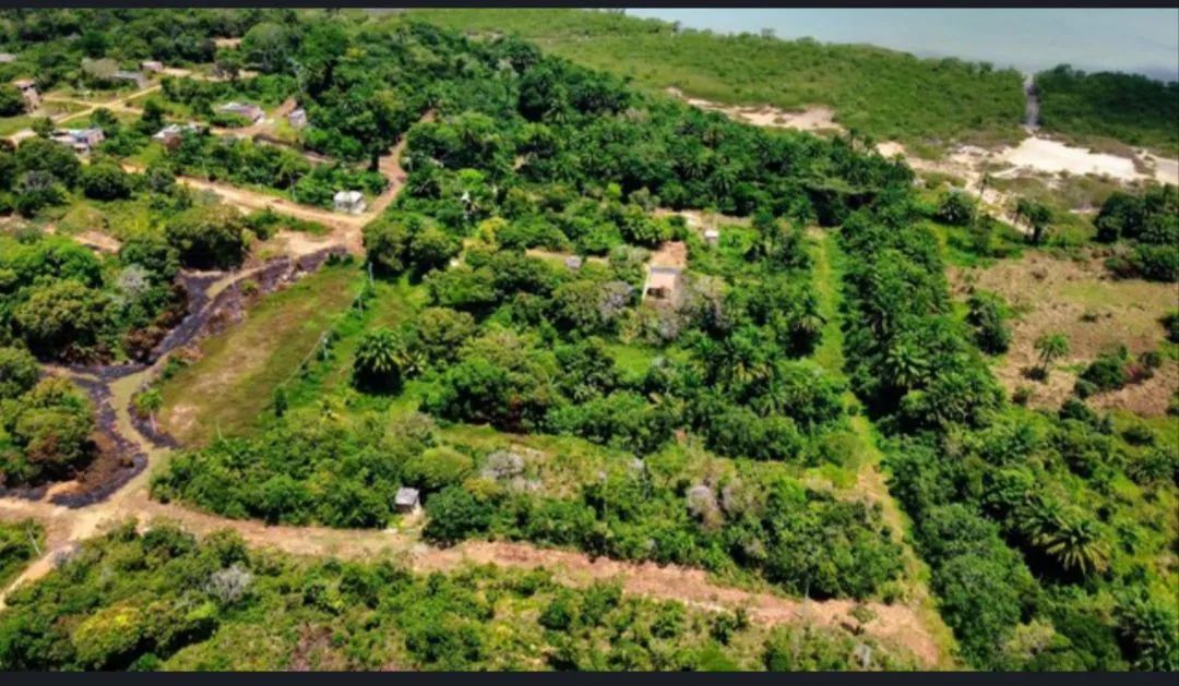 Terreno ilha de Itaparica  - Foto 4