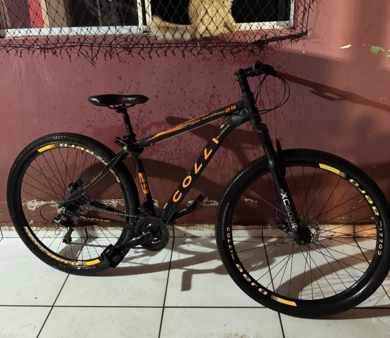 Bicicleta Colli