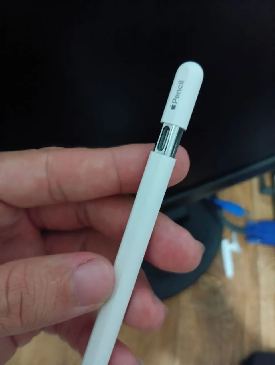 Caneta de iPad Apple pancil usb-c 