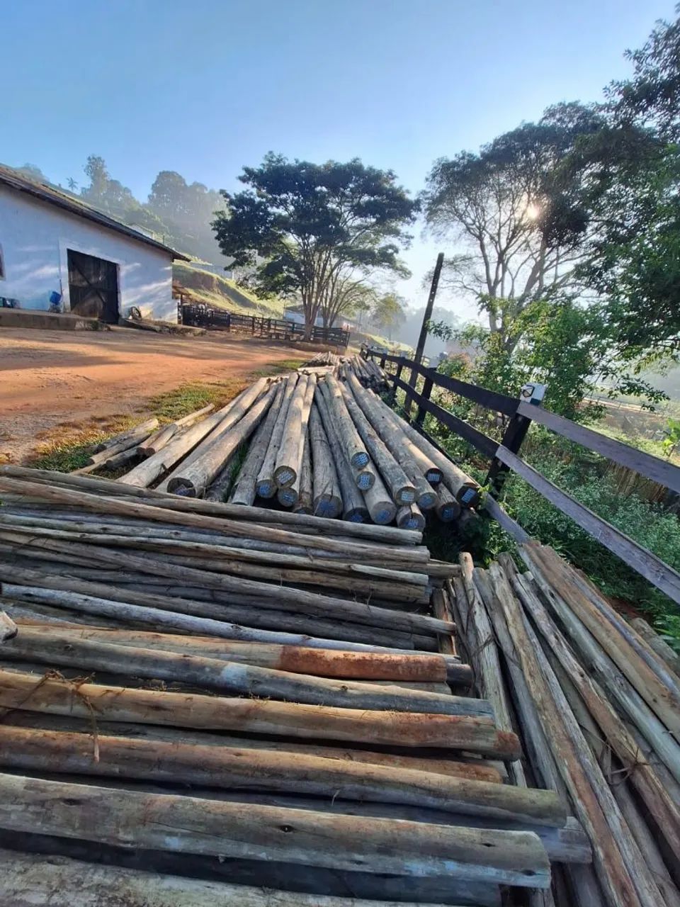 Mourão de Eucalipto tratado  - Foto 2