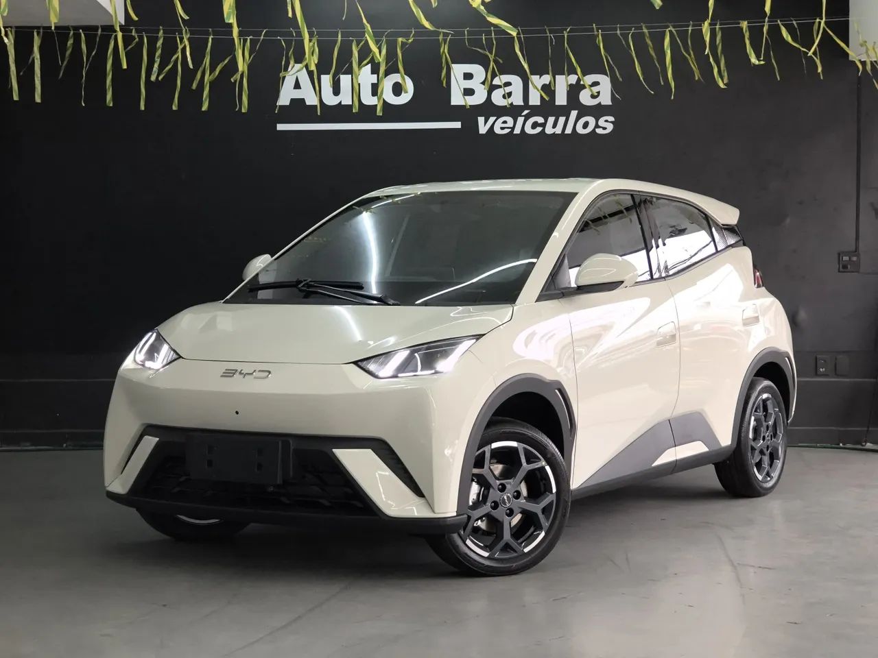 BYD Dolphin Mini (Elétrico) 2027