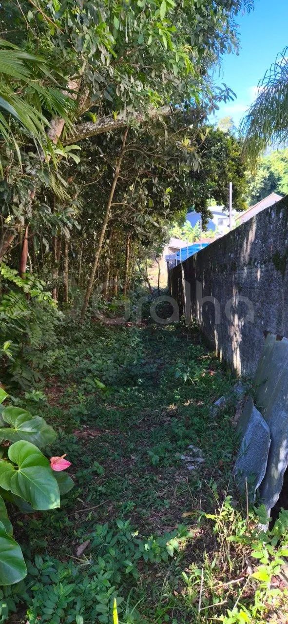 Terreno de 9.693,776 m² no Saco Grande - Foto 2