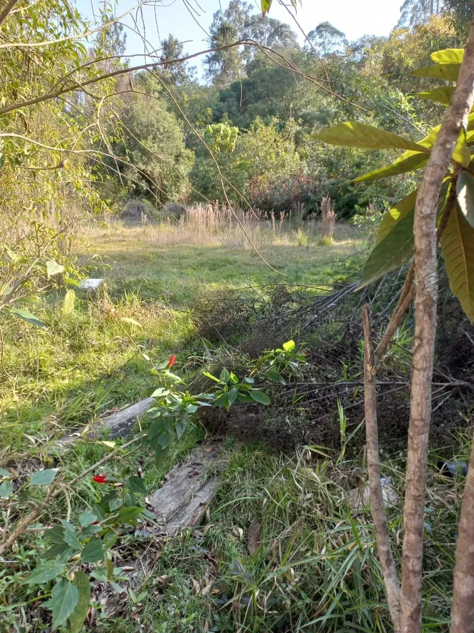Condomínio Morada do Sol pronto para construir - Foto 5