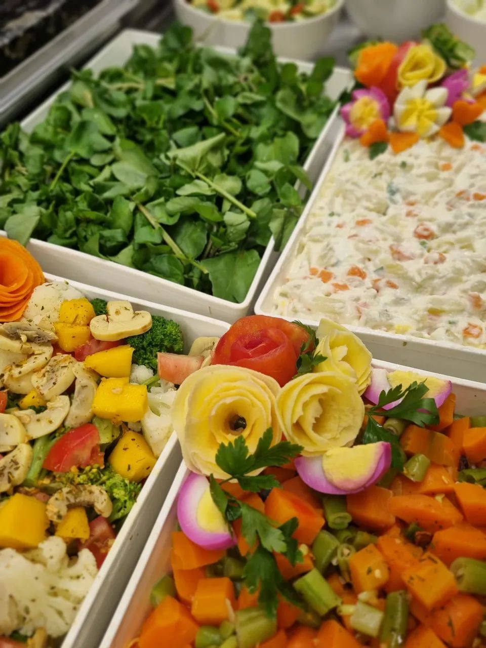 AUX COZ/SALADEIRA RIO TAVARES 