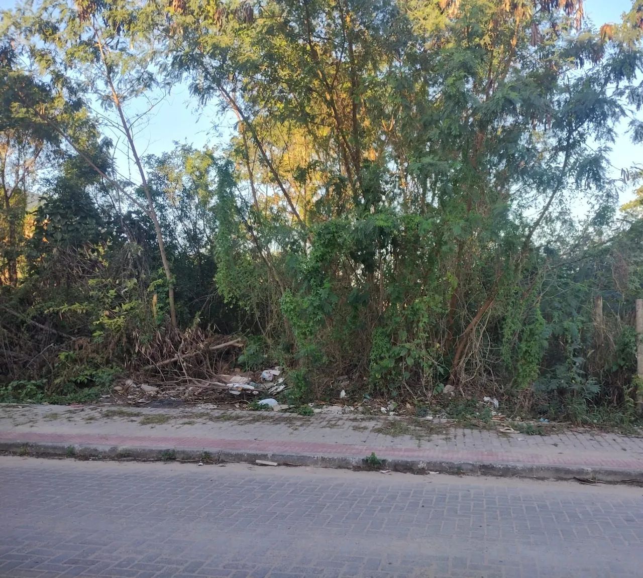 Vendo ótimo terreno em Pontal das Garças  - Foto 2