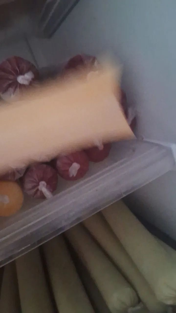 Dindin - Foto 2