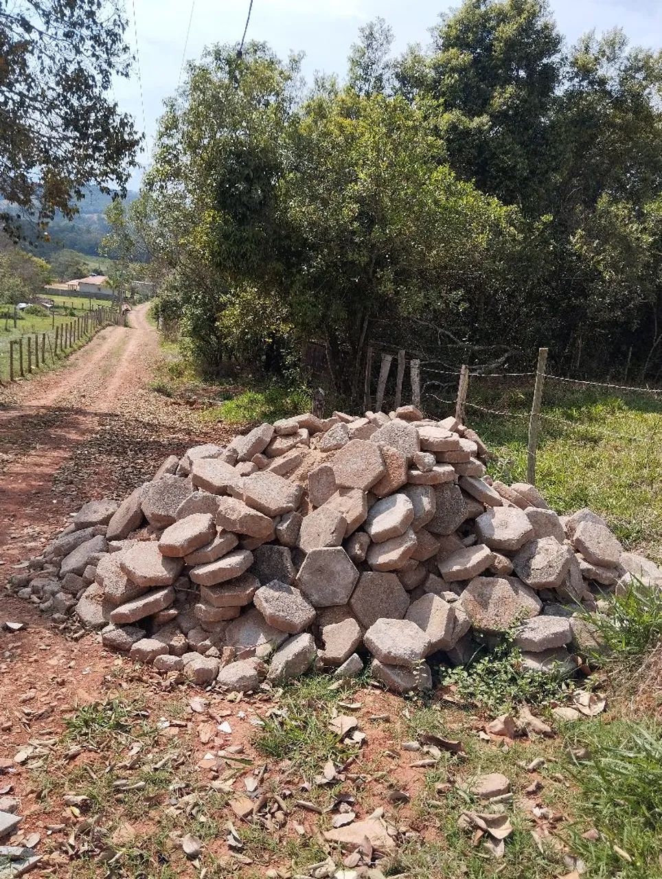 Lote - Foto 3