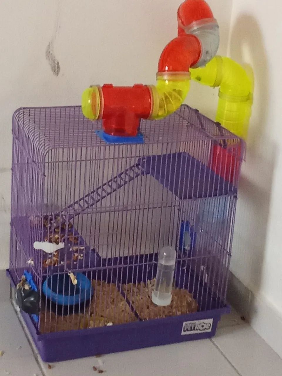 Vendo hamster mais gaiola  - Foto 4