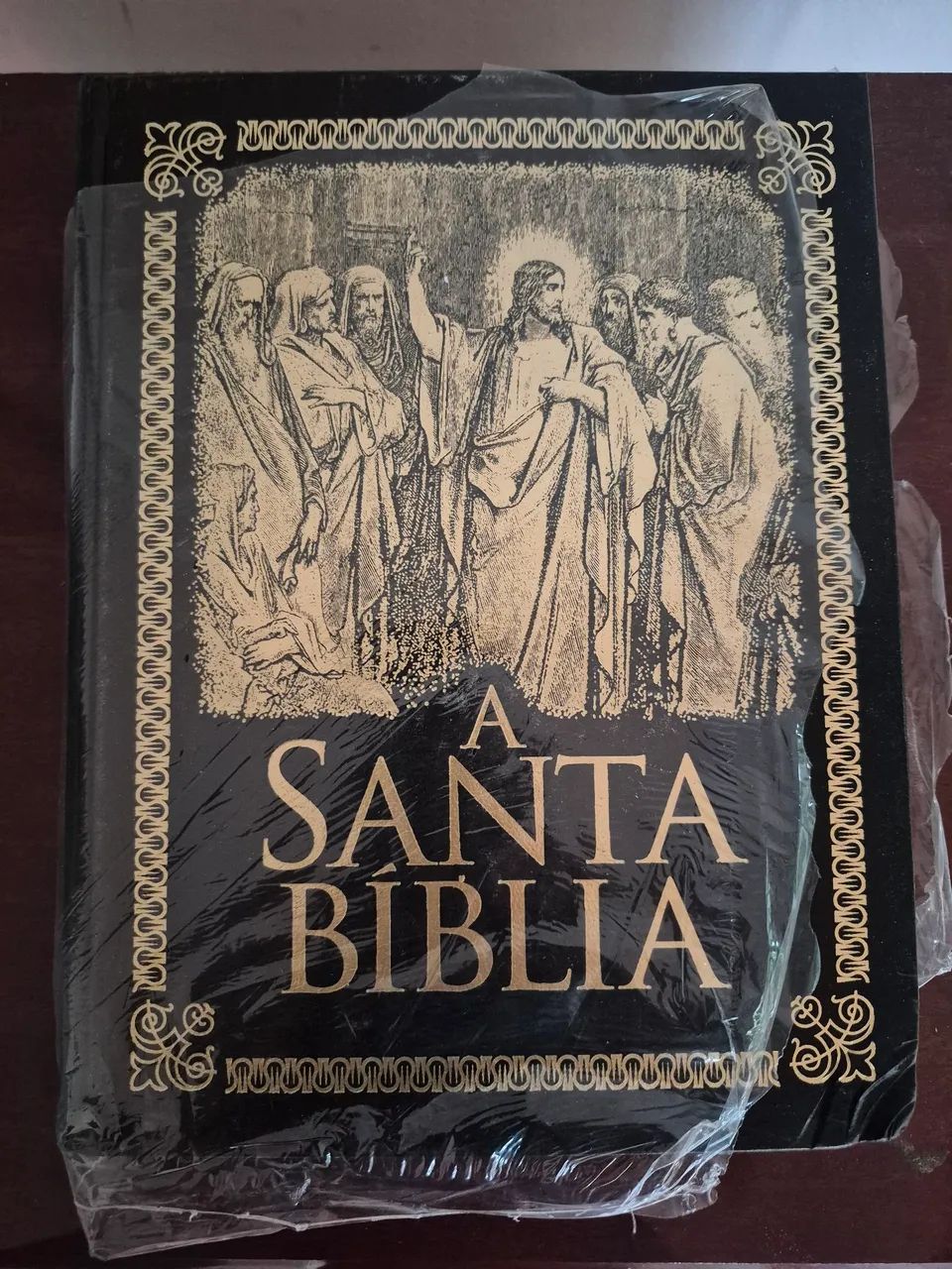 Bíblia Ilustrada Grande