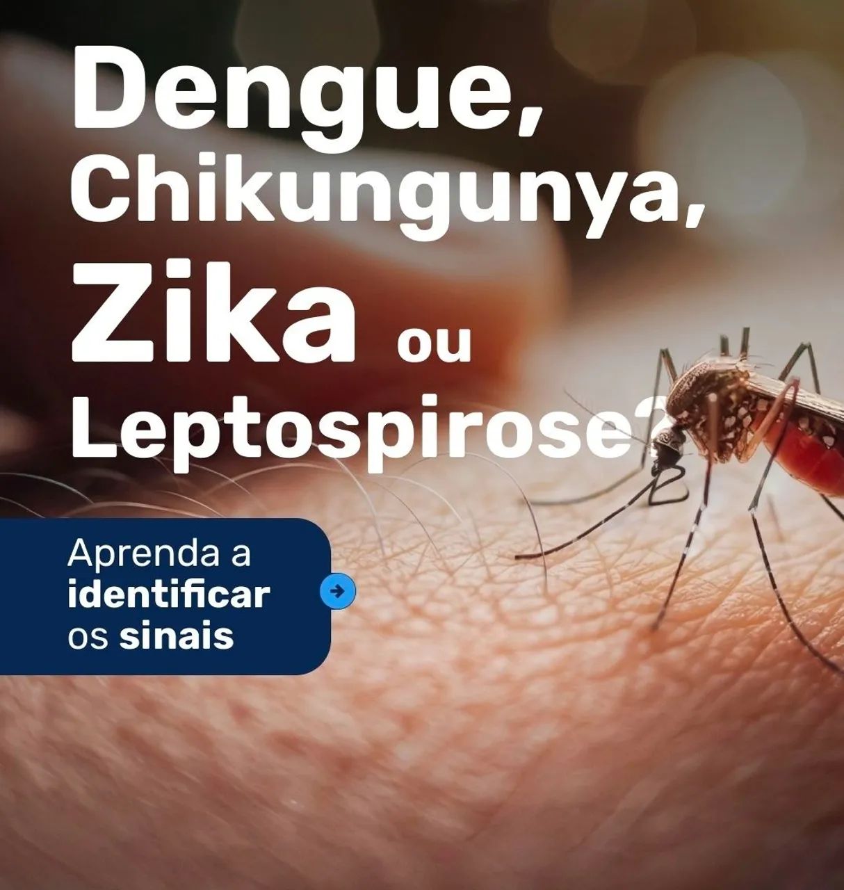 Telas Mosquiteiras  - Foto 2