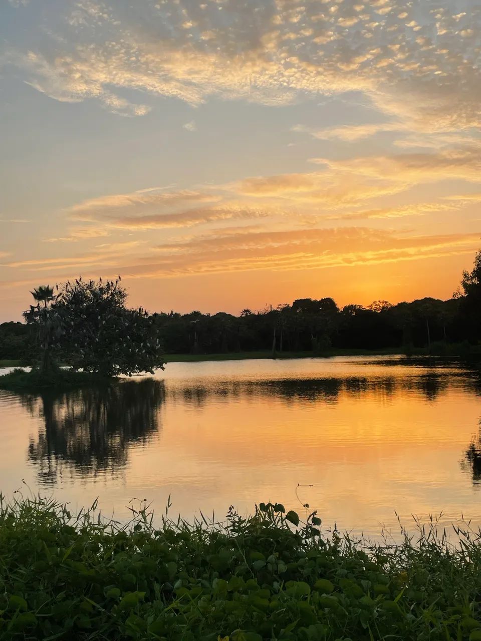 Oportunidade, Lote No Condomínio Reserva Camará  - Foto 2