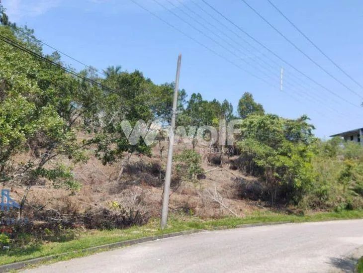 Terreno no João Paulo / Florianópolis - Foto 4