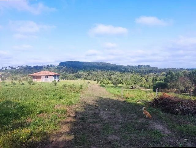 Terreno cidade da Lapa PR  - Foto 2