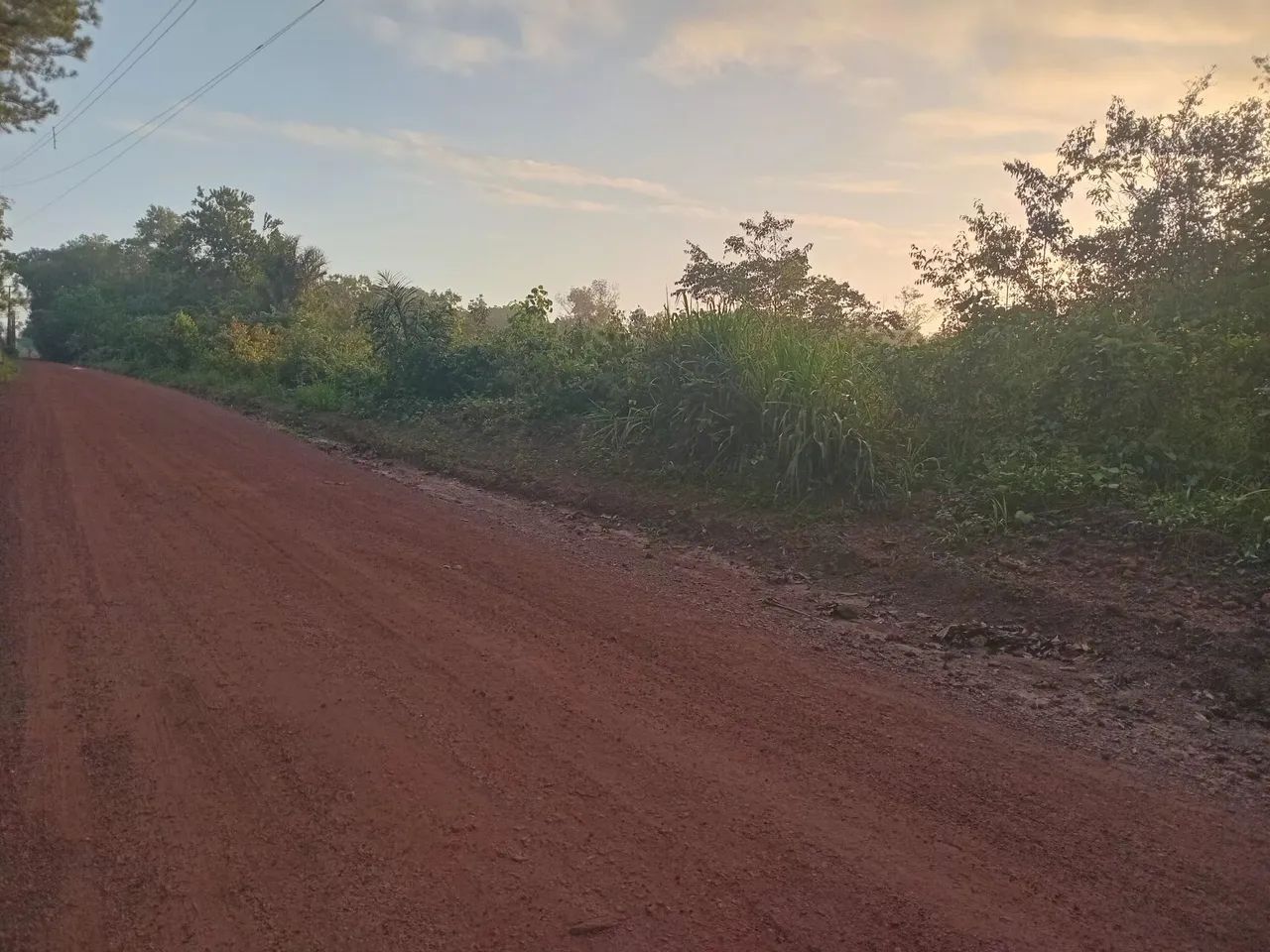 Vende-se sítio  - Foto 3