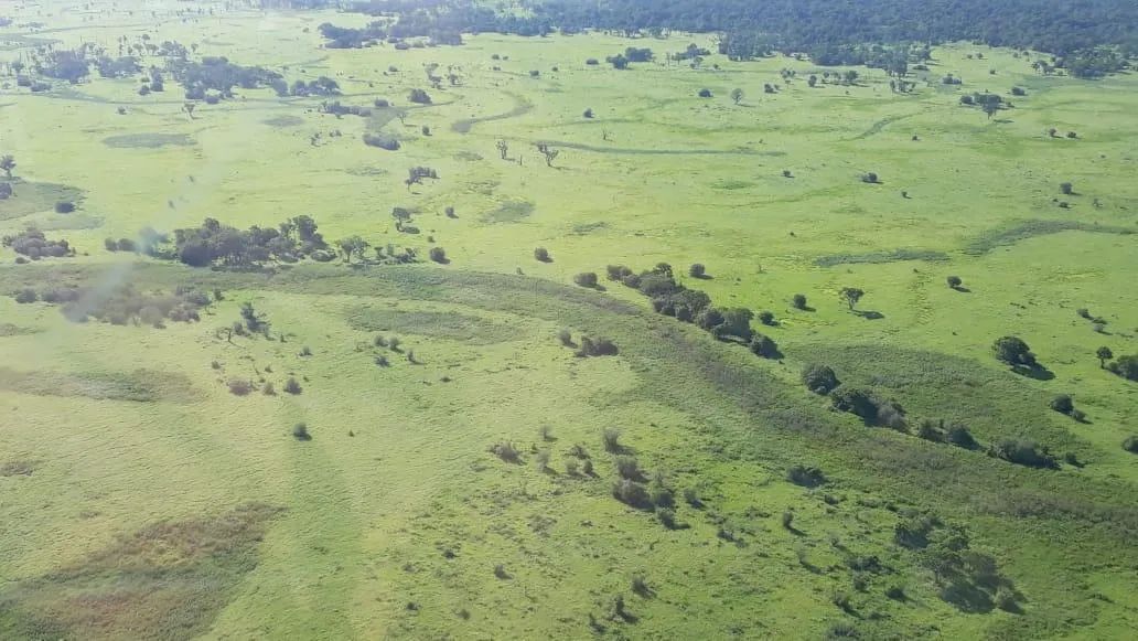 Fazenda para Venda em Poconé - Foto 2